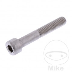 JMP Steel hexagon head cylindrical screw M8X1.25 MM 50 775.17.98