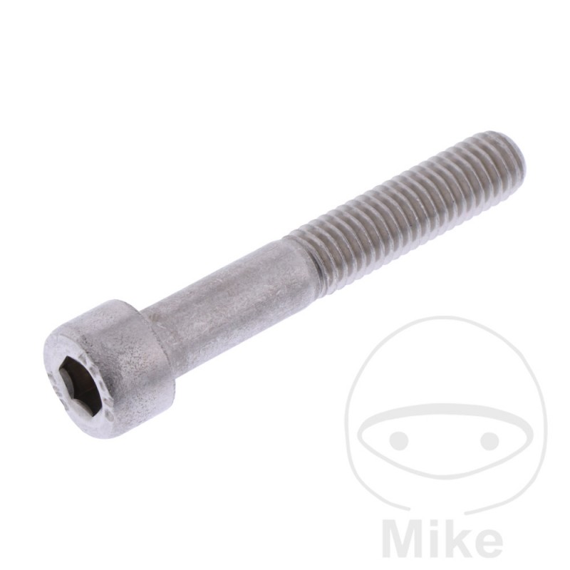 JMP Steel hexagon head cylindrical screw M8X1.25 MM 50 775.17.98