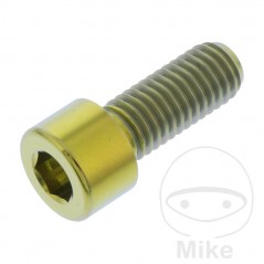 JMP Titanium hexagonal head cylindrical screw M8X1.25 MM 775.17.99VAR
