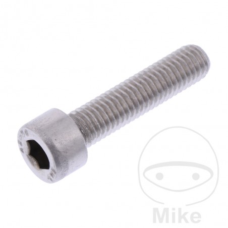 JMP Titanium hexagonal head cylindrical screw M8X1.25 MM 775.17.99VAR