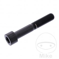 JMP Tornillo cilíndrico cabeza hexagonal de acero inoxidable M10X1.25 MM 775.41.46VAR