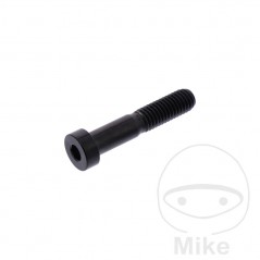 JMP Tornillo cilíndrico cabeza hexagonal de acero inoxidable M8X1.25 MM 40 775.42.38