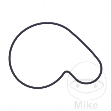 Water pump cover gasket OEM 7348351