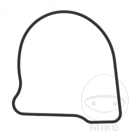 Water pump cover gasket OEM 7348368