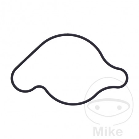Water pump cover gasket OEM 7348369