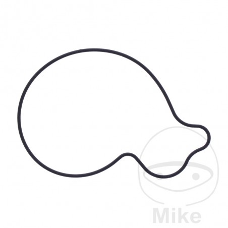 Water pump cover gasket OEM 7348371