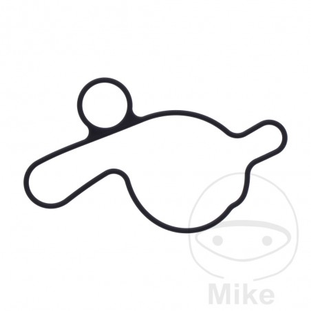 Water pump cover gasket OEM 7348373