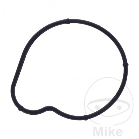 Water pump cover gasket OEM 7348377