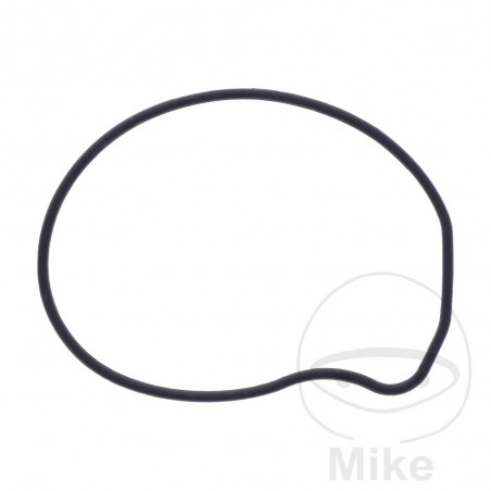 Water pump cover gasket OEM 7348385