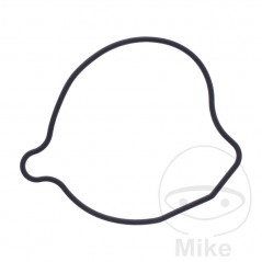 Water pump cover gasket OEM 7348387