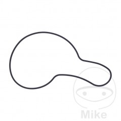 Water pump cover gasket OEM 7348388