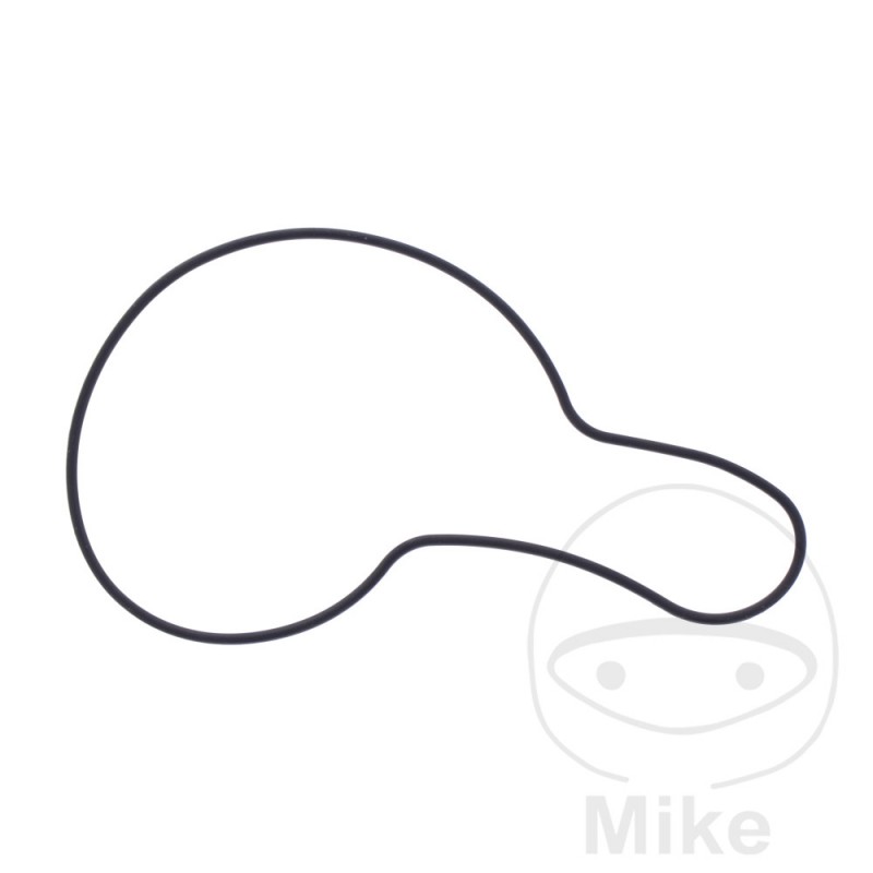 Water pump cover gasket OEM 7348388