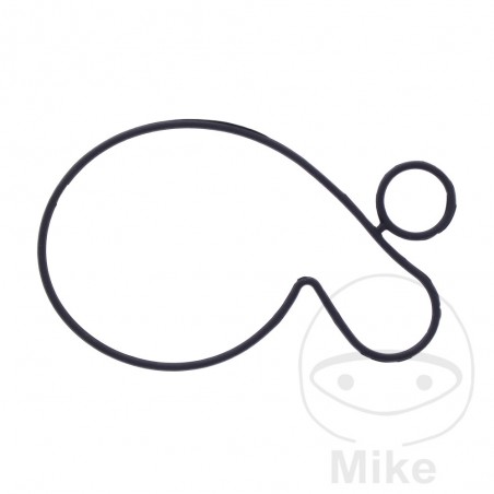 Junta tapa bomba de agua OEM 7348389