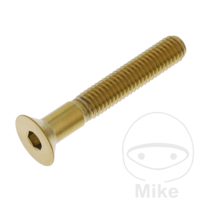 JMP Tornillo acero inoxidable cabeza avellanada M6X1.00 MM 775.31.05VAR