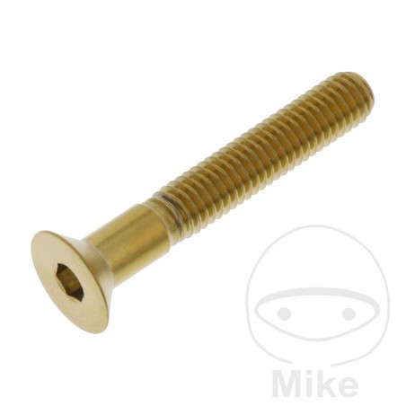 JMP Stainless steel countersunk head screw M6X1.00 MM 775.31.05VAR