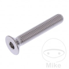 JMP Tornillo acero inoxidable cabeza avellanada M6X1.00 MM 775.31.05VAR