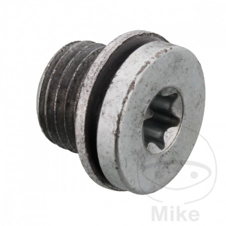 Closing screw for lambda probe support 378.49.78