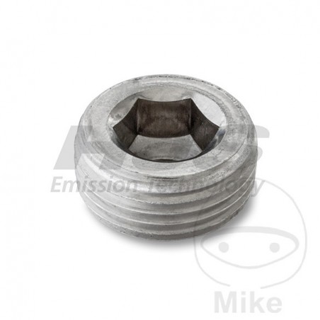 Tornillo de cierre para soporte sonda lambda 378.49.95