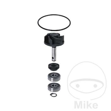 Repair kit for water pump ALTN: 7530016 753.00.15