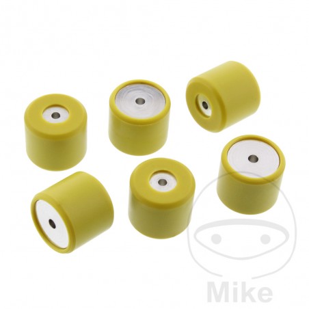 Set of 6 variator rollers 19 X 17 10G OEM 738.05.90