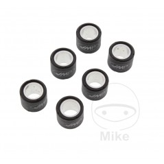 JMP Set of 6 variator rollers 4.3 G 19 X 15.5 MM 783.03.04