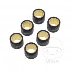 JMP Set of 6 variator rollers 10 G 20 X 17 MM 783.03.32