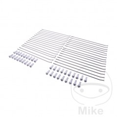 Juego 32 radios delantero incluye boquillas 701.03.26