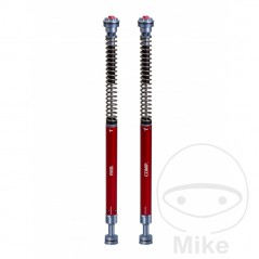 YSS SUSPENSION Kit cartucho horquilla moto ROAD Z3 7431029