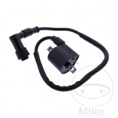 JMP ignition coil with spark plug 7003101