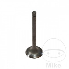 Scape valve 747.04.20
