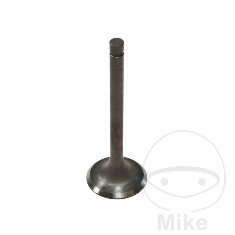 Scape valve 747.04.20