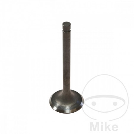 Scape valve 747.04.20