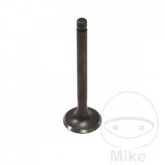 Scape valve 747.04.95