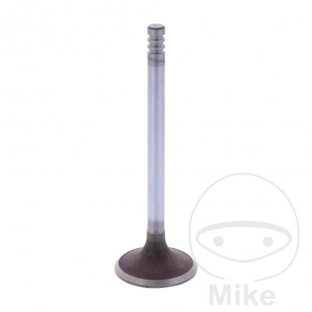 SIEBENROCK Válvula de admisión 747.13.29