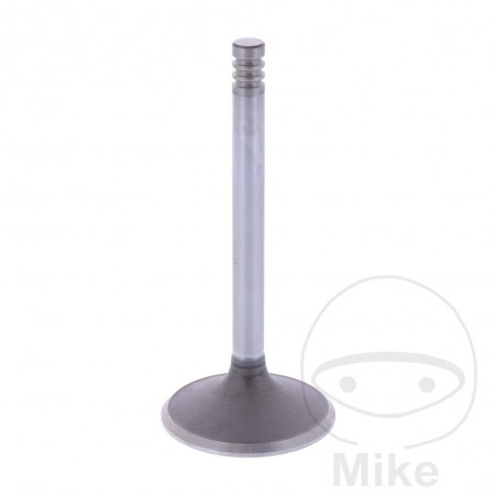 SIEBENROCK Válvula de admisión 747.13.42