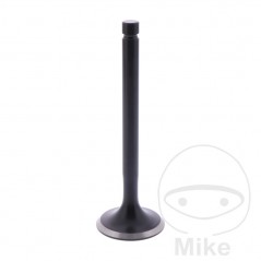 Scape valve 747.13.75