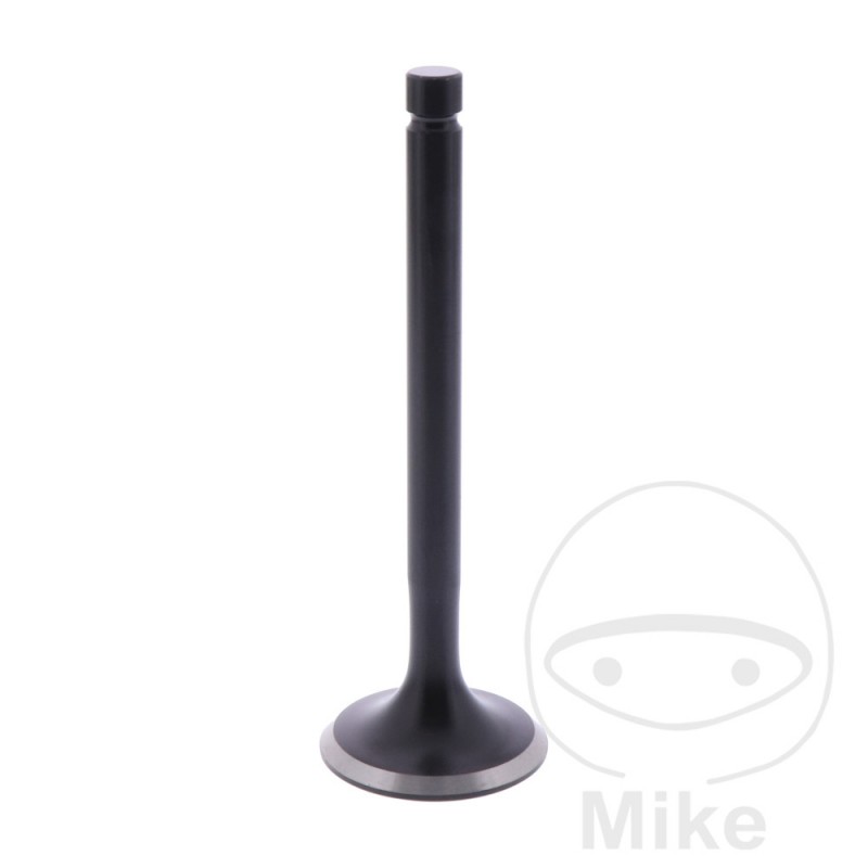 Scape valve 747.13.75