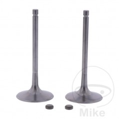 intake valve set OEM 747.14.31