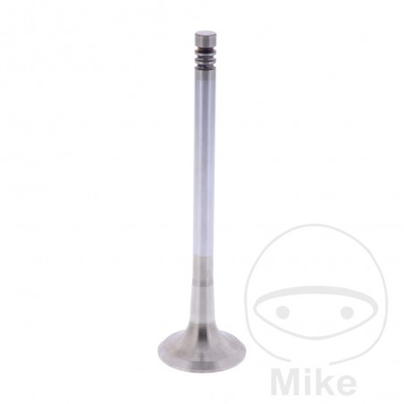 Scape valve 747.17.50