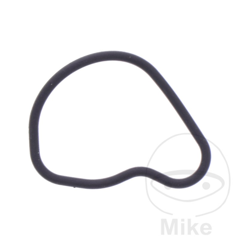 Timing chain tensioner gasket OEM 7348325