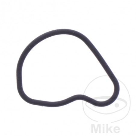 Timing chain tensioner gasket OEM 7348325