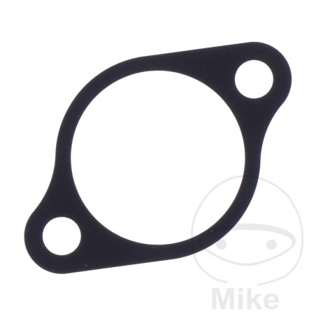 Timing chain tensioner gasket OEM 7348330