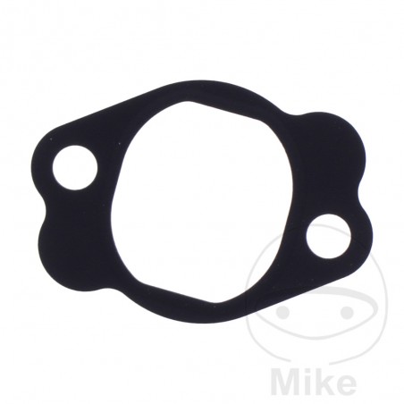 Timing chain tensioner gasket OEM 7348333