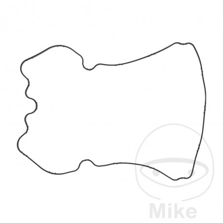 Valve cover/spark plug gasket OEM 7348340