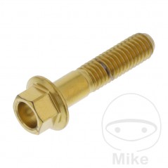 JMP Tornillo hexagonal de acero inoxidable M6X1.00 MM V4A 775.31.86VAR