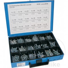 Caja surtido tornillos cincados 933 8.8 8545 486.80.06