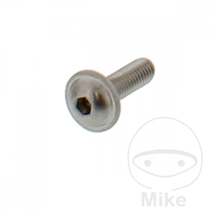 JMP air duct screw M5X0.8X20 MM 717.18.49