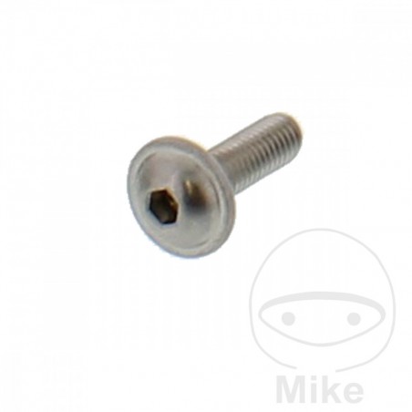 JMP air duct screw M5X0.8X20 MM 717.18.49