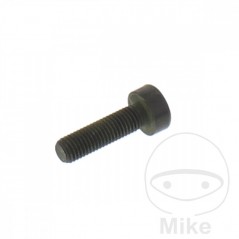 JMP Screw M7X1.0X25 MM 717.18.57
