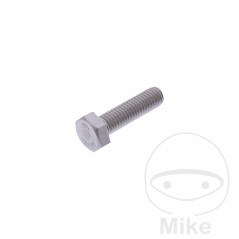 JMP Screw M8X1.25X30 MM 717.18.62